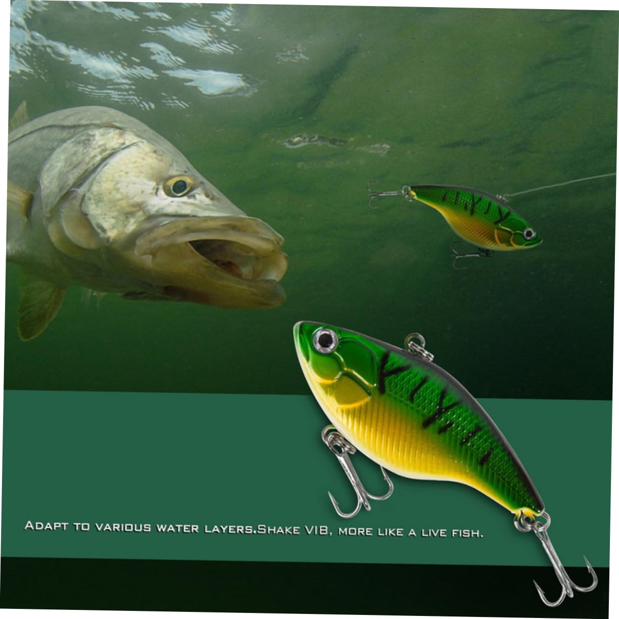 Toyvian Appât Vibré Leurres De Pêche Artificiels Leurres De Pêche Flottants Mini Appâts De Pêche Vert