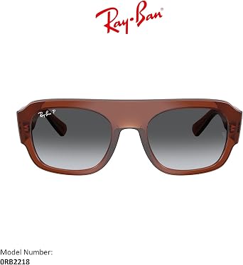 Ray-Ban 0RB2218 Sunglasses