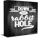 Down The Rabbit Hole Wooden Box Sign Farmhouse Wooden Box Block Sign for Home Office Shelf Decoration 7