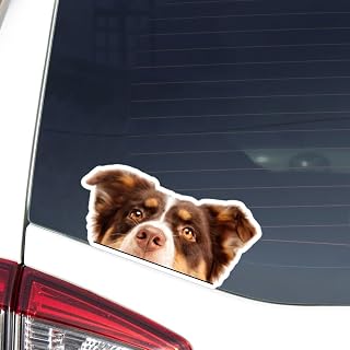 Red Tan Tri Australian Shepherd Car Decal Sticker, Peeking Realistic Aussie Dog Head Face Vinyl Removable Waterproof Bumper Window Auto Car Window, Business Glass, Truck, Doors, Trailer Windshield.