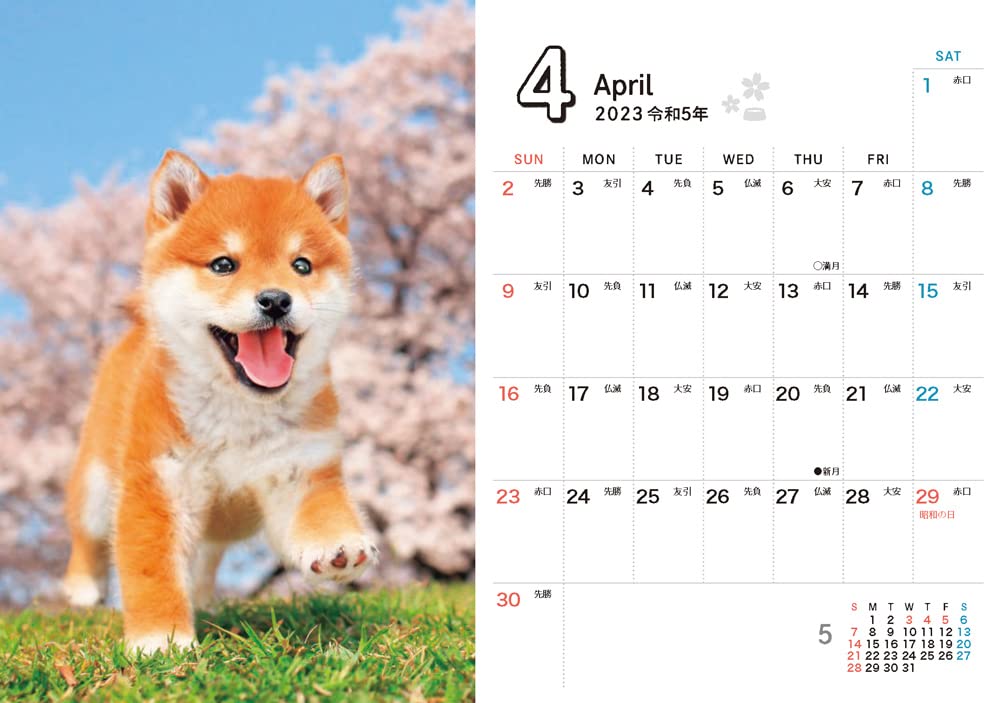 Amazon Co Jp 購入者限定特典あり しばいぬ日和 Mini 各月しばいぬのスマホ壁紙画像 データ配信 インプレスカレンダー23 森田米雄 文房具 オフィス用品 Amazon Co Jp 購入者限定特典あり しばいぬ日和 Mini 各月しばいぬのスマホ壁紙画像 データ配信 インプレスカレンダー23 森田米雄 文房具 オフィス用品