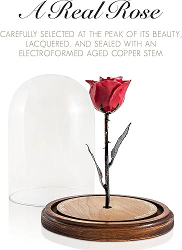 Miniatura 3 de Forever Rose Rojo encantado en cúpula de cristal inspirado en la flor de la Bella y la Bestia, rosa preservada grabada a mano Rosa sumergida a mano
