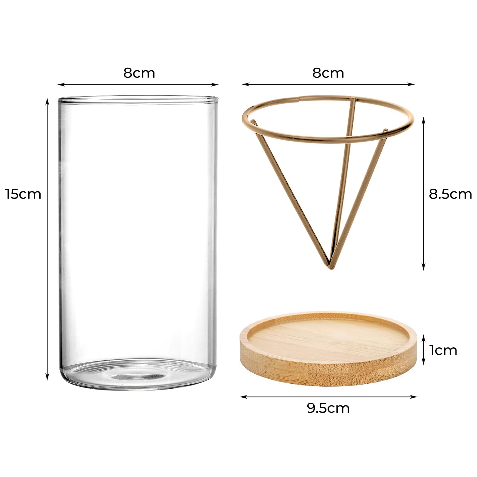 Kits de germination de plantes, kit de démarrage de graines d'avocat avec base en bois, vase en verre pour la maison, le bureau, la décoration de table, facile à utiliser pour cultiver des avocatiers