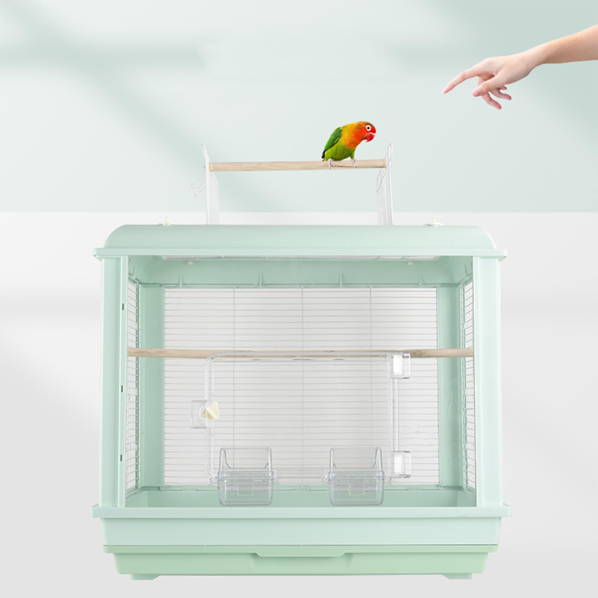 Amazon | 鳥かごパノラマ(前面透明アクリル素材) 鳥籠広い空間(62*40 