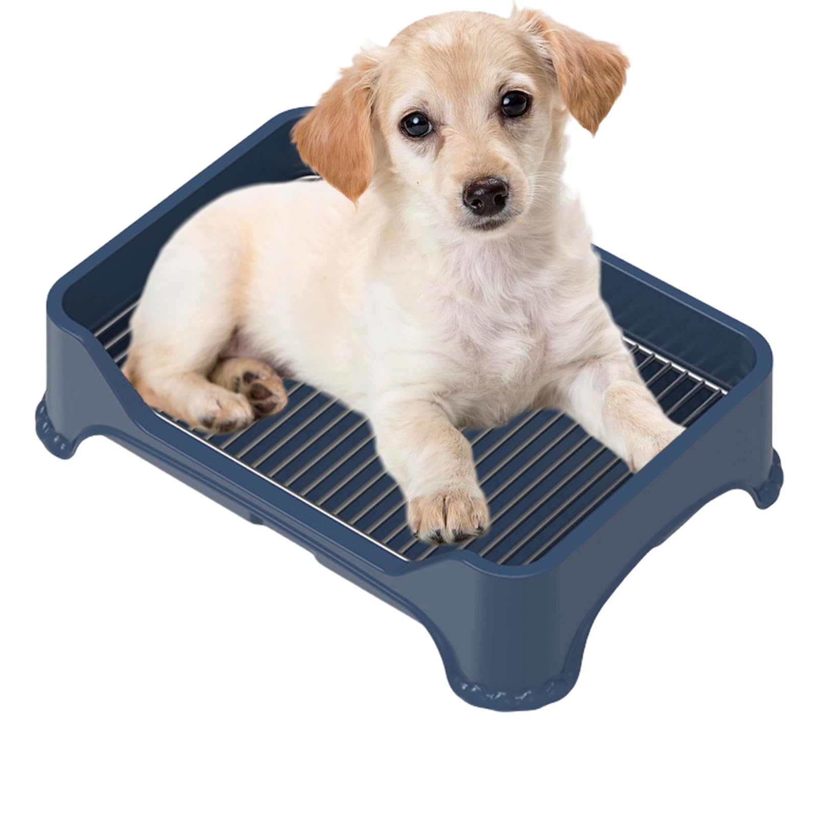 Servizi igienici per cani - Servizi igienici per cuccioli in acciaio inossidabile | Vassoio per vaso portatile per interni per cani, WC per cani da toeletta, tappetino antipasto, vassoio P