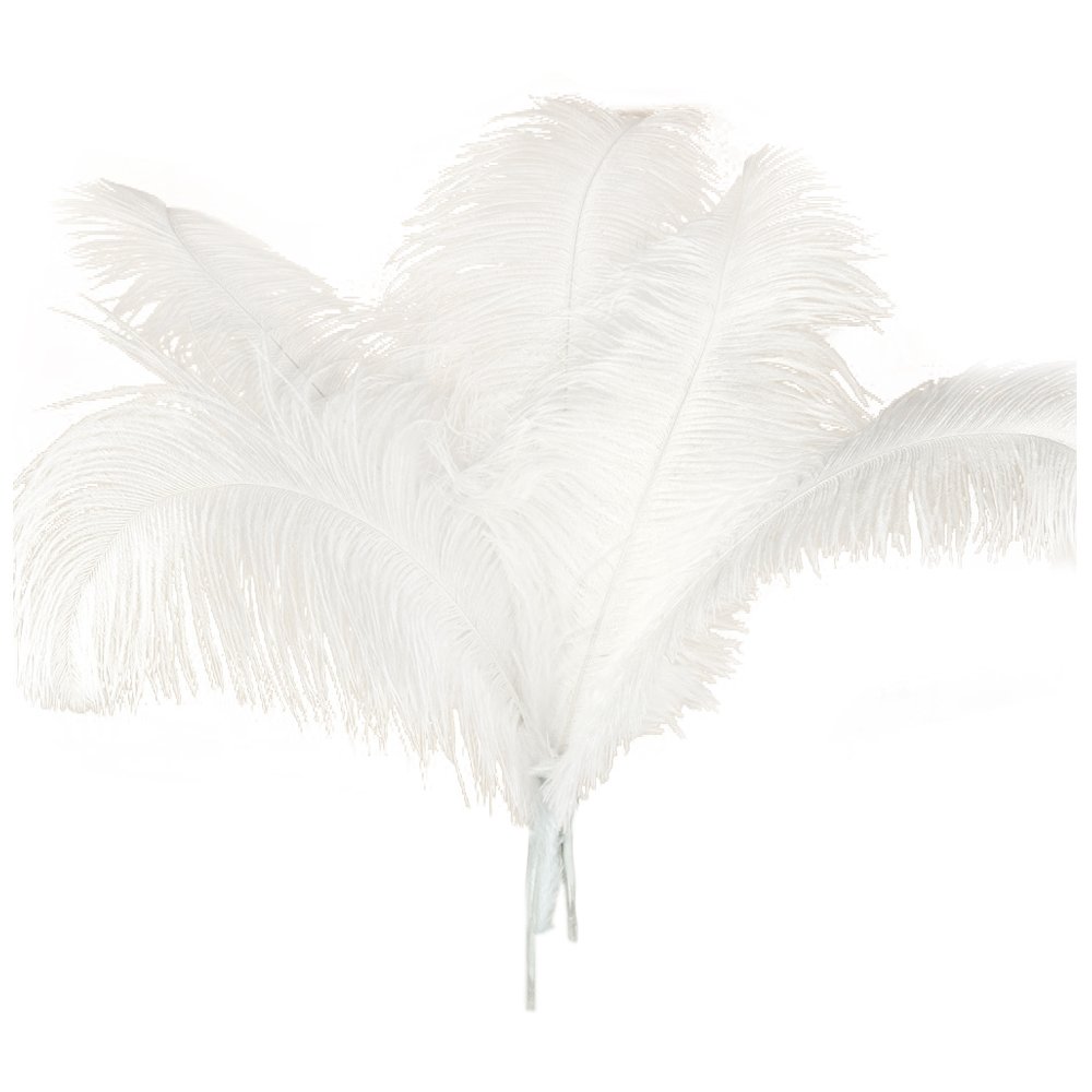 Plumes d'autruche blanches grand format 45-50cm décoration vase salon