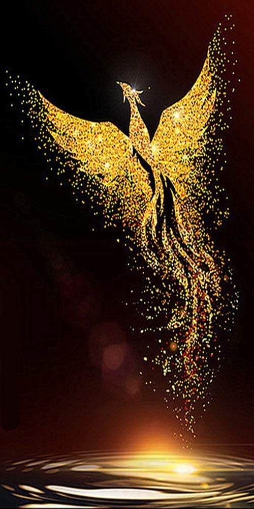RAILONCH DIY 5D Golden Phoenix Diamant Painting für Erwachse