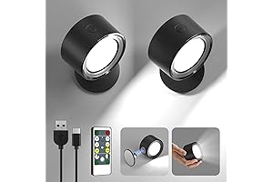 Lightbiz LED Wall Sconce: Your Perfect Living Room Accessory