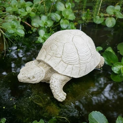 Turtle Stone Statue | Outdoor Garden Tortoise Animal Sea Ornament Decoration