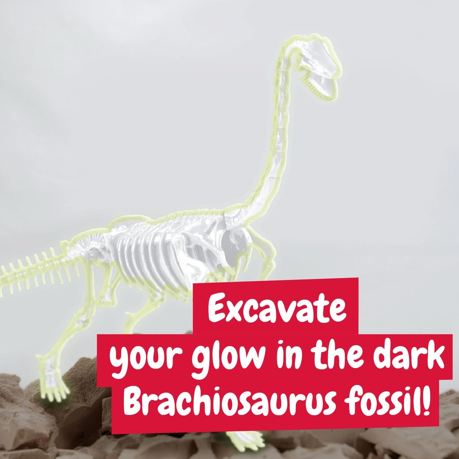 Science4you Brachiosaurus Fossil Digging Kit for Kids, Excavate and assemble 11 pieces Dinosaur Fossil - Image 4