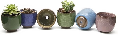 Goldblue Ice Crack Zisha Serial - Maceta de cerámica para suculentas (6 unidades)