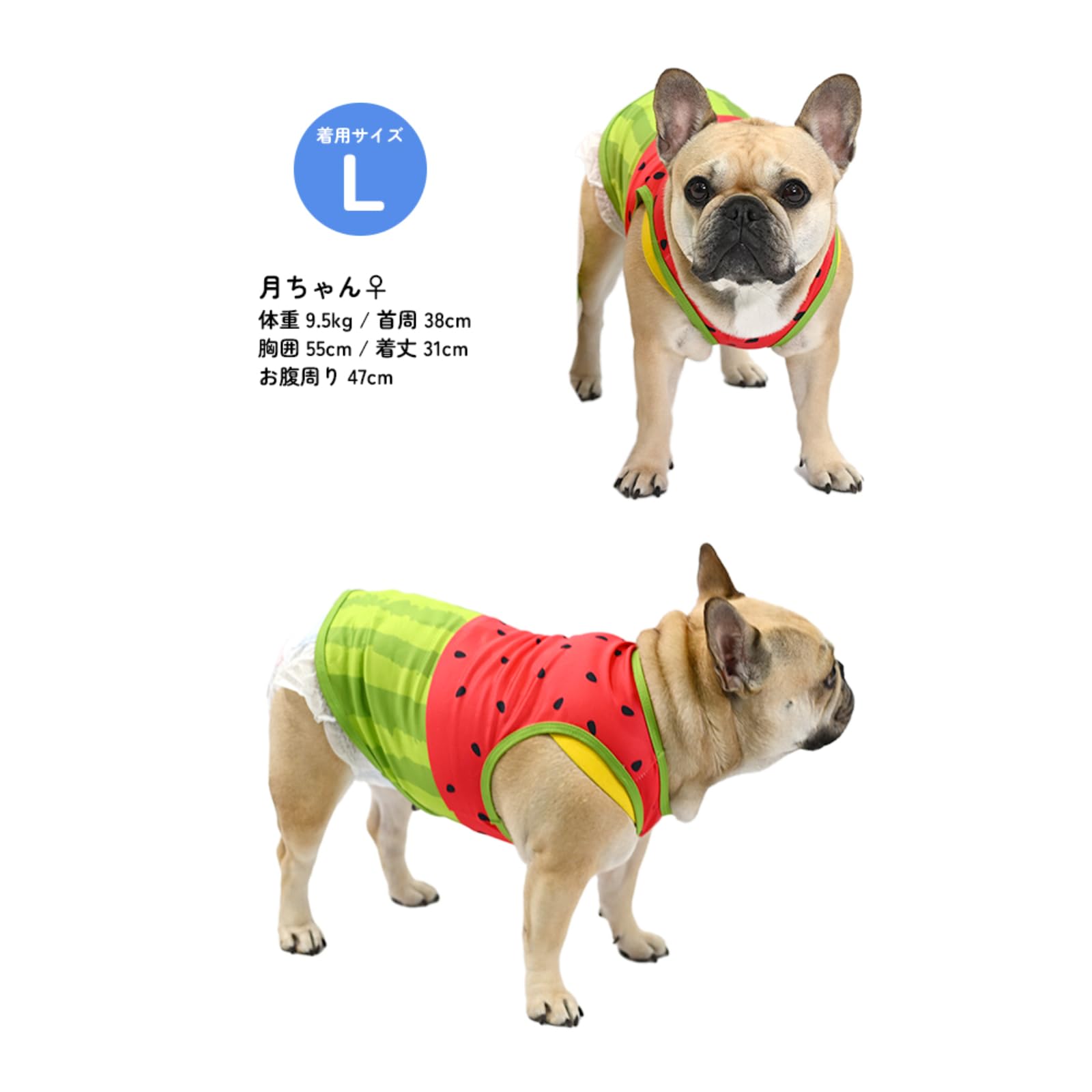 Amazon | [24HOURS] 犬 服 接触冷感 ひんやり スイカ柄タンクトップ
