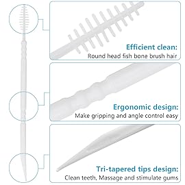 DanTicy Brushpicks Interdental Toothpicks,Soft Bristle Dental Floss Picks Toothpicks,Helps Removes Plaque and Debris Between Your Teeth, Mint, 300PCS (Pack of 1)