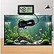 Ytian LCD-Tuner, digital, integriert, Thermometer, Hygrometer, mit externer Sonde, für Brutmaschine, Aquarium, Geflügel, Reptilien, Schwarz