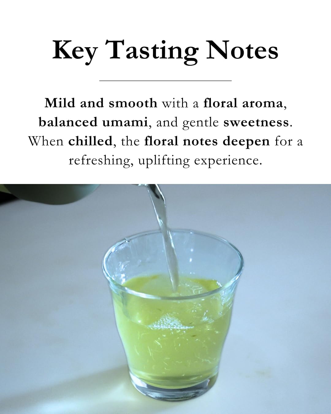 Emptea Sencha Loose Leaf Japanese Green Tea (Organic) - Asamushi First Harvest, Light Steamed, Floral & Aromatic, Authentic Tea Blend from Japan 2.82oz (80g)