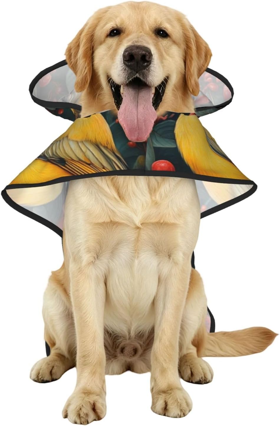 Birds in Fruit Trees Waterproof Dog Raincoat and Rain Jacket for Small Medium Large Dogs with Reflective Stripes and Adjustable Belly Strap