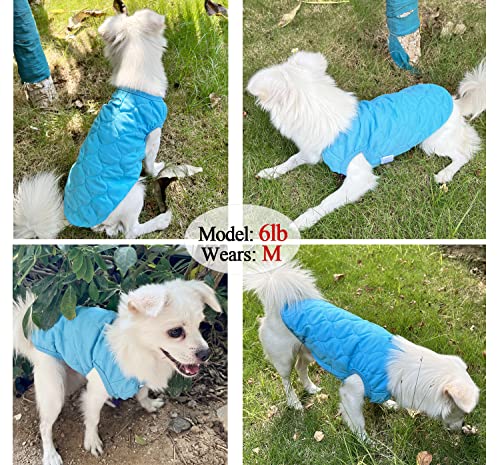 2 Pack Small Dog Winter Jackets Coats, Pet Cold Weather Thin Cotton Coats, Puppy Warm Vest Clothes, Windproof Apparel With Buttons For Small Dogs Cats (X-Small, Blue+Gray) #TOP2