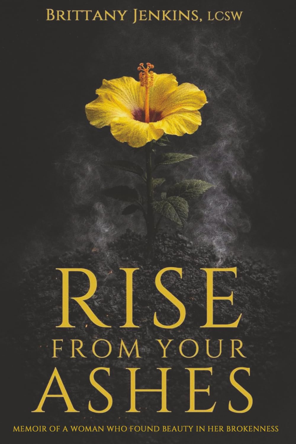 Rise From Your Ashes: Memoir Of A Woman Who Found Beauty In Her Brokenness