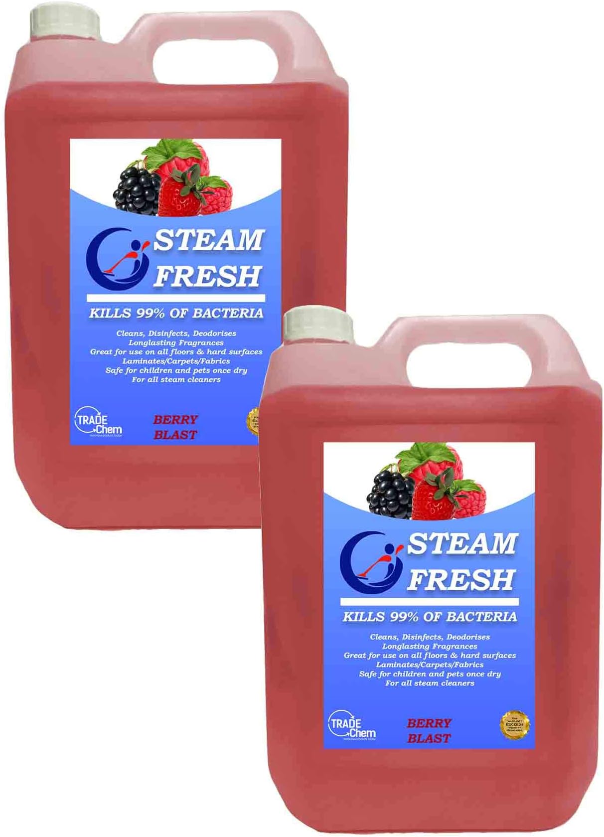 2 x 5L STEAM CLEANING DETERGENT SOLUTION - STEAM CLEANER FLUID FOR ALL MACHINES INC VAX - BERRY FRESH