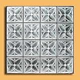 Antique Ceilings Inc - Margaretta Silver Black - Styrofoam Ceiling Tile (Package of 10 Tiles)