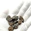 Stoney Meteorite