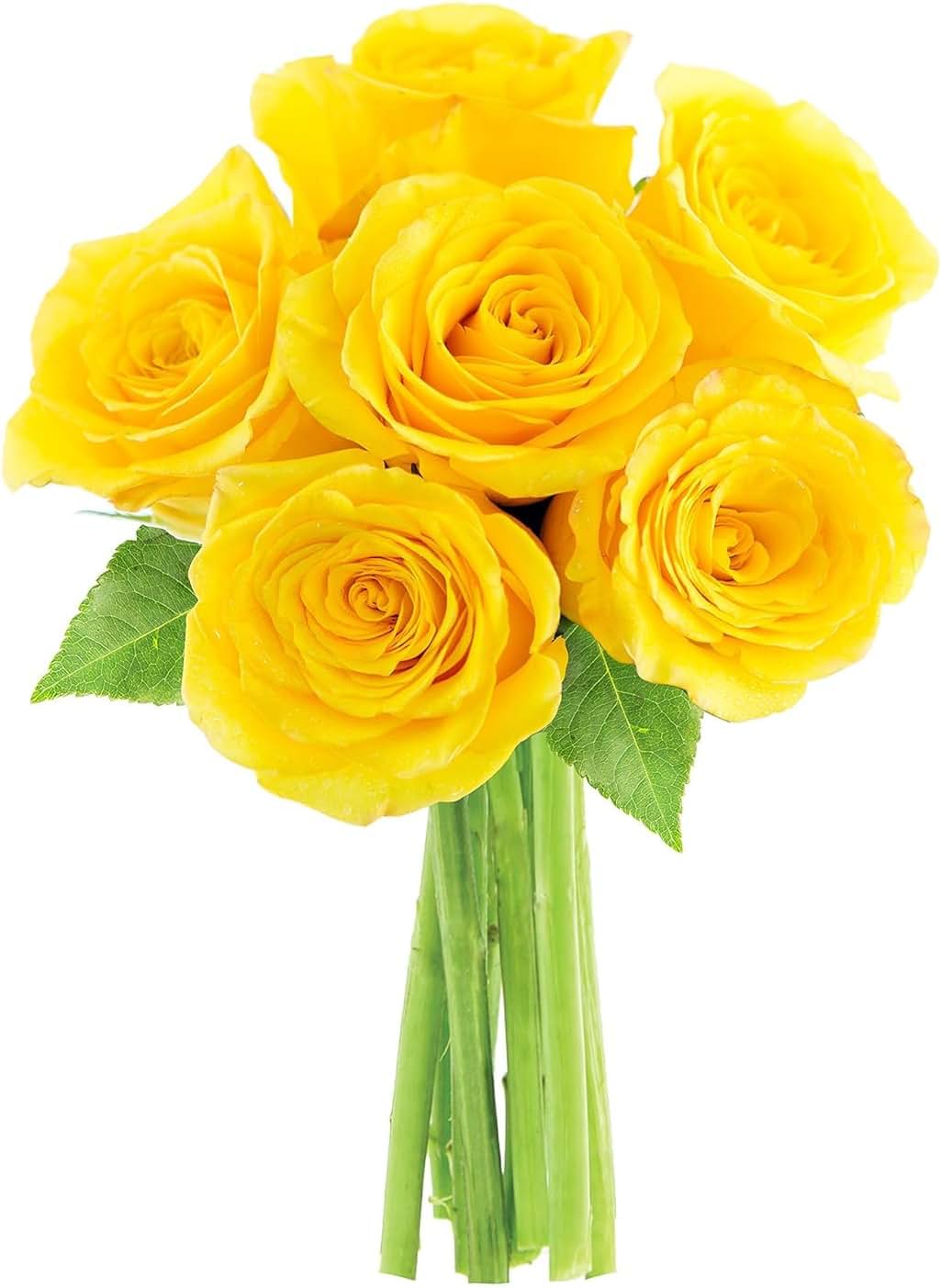 Yellow Sunshine Bouquet Fresh Without