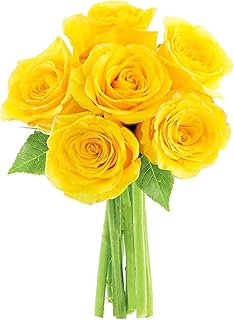 KaBloom Fresh Yellow Roses Bouquet