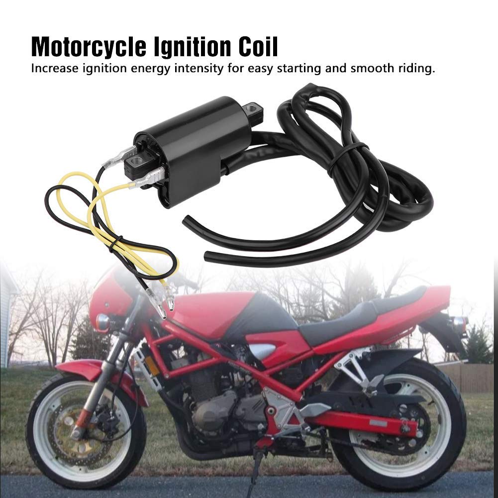 EVGATSAUTO Zamienne akcesoria do zapłonu motocykla, 2 sztuki cewki zapłonowej do GSF400 GSF600 GSF1200 Bandit