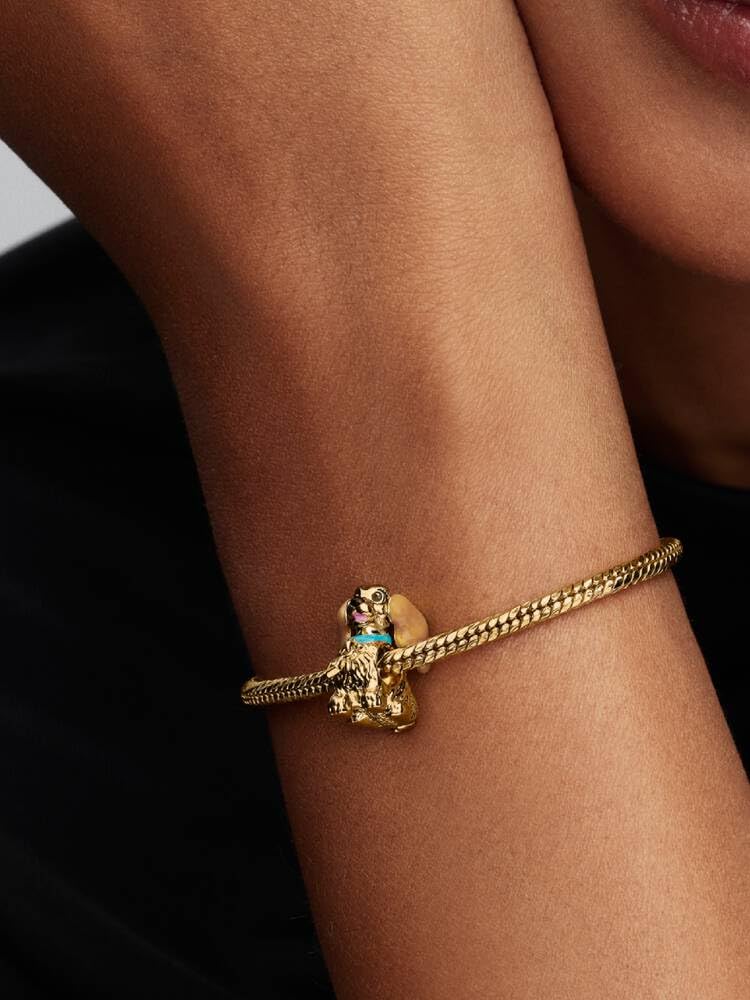 Charm Pandora 764468C01 „Dama i włóczęga”
