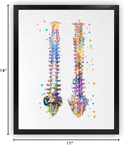 Miniatura 10 de Dignovel Studios 11X14 sin marco de la columna vertebral humana anatomía ósea médico médico acuarela arte impresión cartel inauguración casa giclée