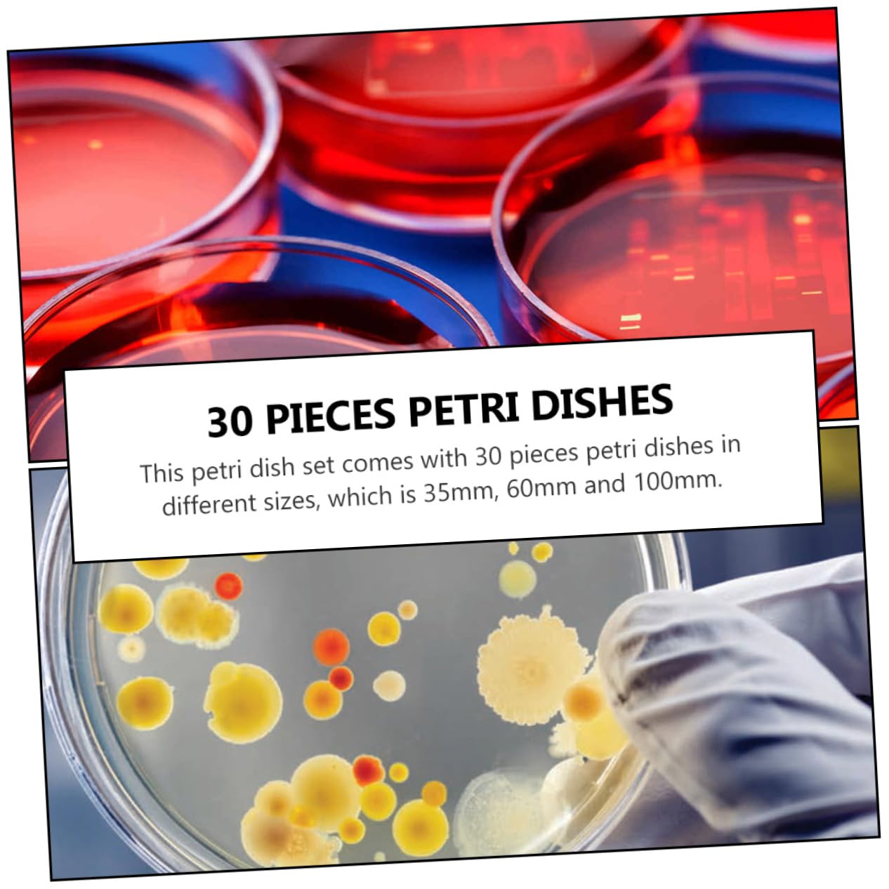 VILLFUL 30pcs Petri Dish with Lids Culture Petri Dishes Plastic Transparent Petri Dishes Laboratory Petri Dish