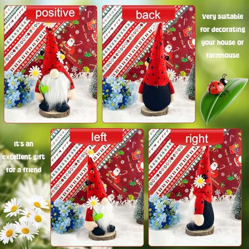 Ourdort Marienkäfer Wichtel, Frühling Deko, Niedliche Wichtel, Handgefertigte Gefüllte Gesichtslose Puppe, Zwerg Dekorationen, Frühlingsdeko, für Haus, Küche, Zimmer, Ornamente, rot, schwarz