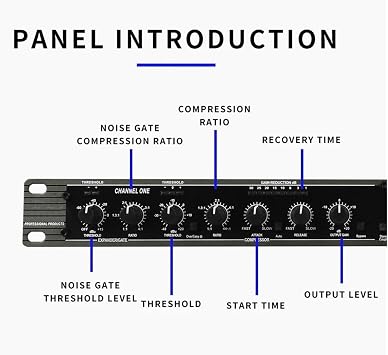 Dual Channel Stereo Compressor Limiter for Stage Performance and Recording Studio, Active Crossover with Reverb Equalization and Anti-Howling Sound Equipment