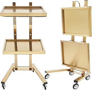 2 Tier Metal Rolling Cart, Stainless Steel Salon Tray with Wheels, Foldable Utility Carts, Folding Salon Tray Trolley for ...
