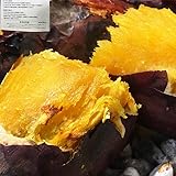 シルクスイート さつまいも 約10kg S〜2Lサイズ【産地証明書有】千葉県・茨城県産 訳あり品 大容量 滑らかな食感と溢れんばかりの甘さ！ 熟成 大量 サツマイモ 非常食 箱買い 誕生日 詰め合わせ 国産 野菜ソムリエ/ベジタブル＆フルーツマイスターが選ぶ！