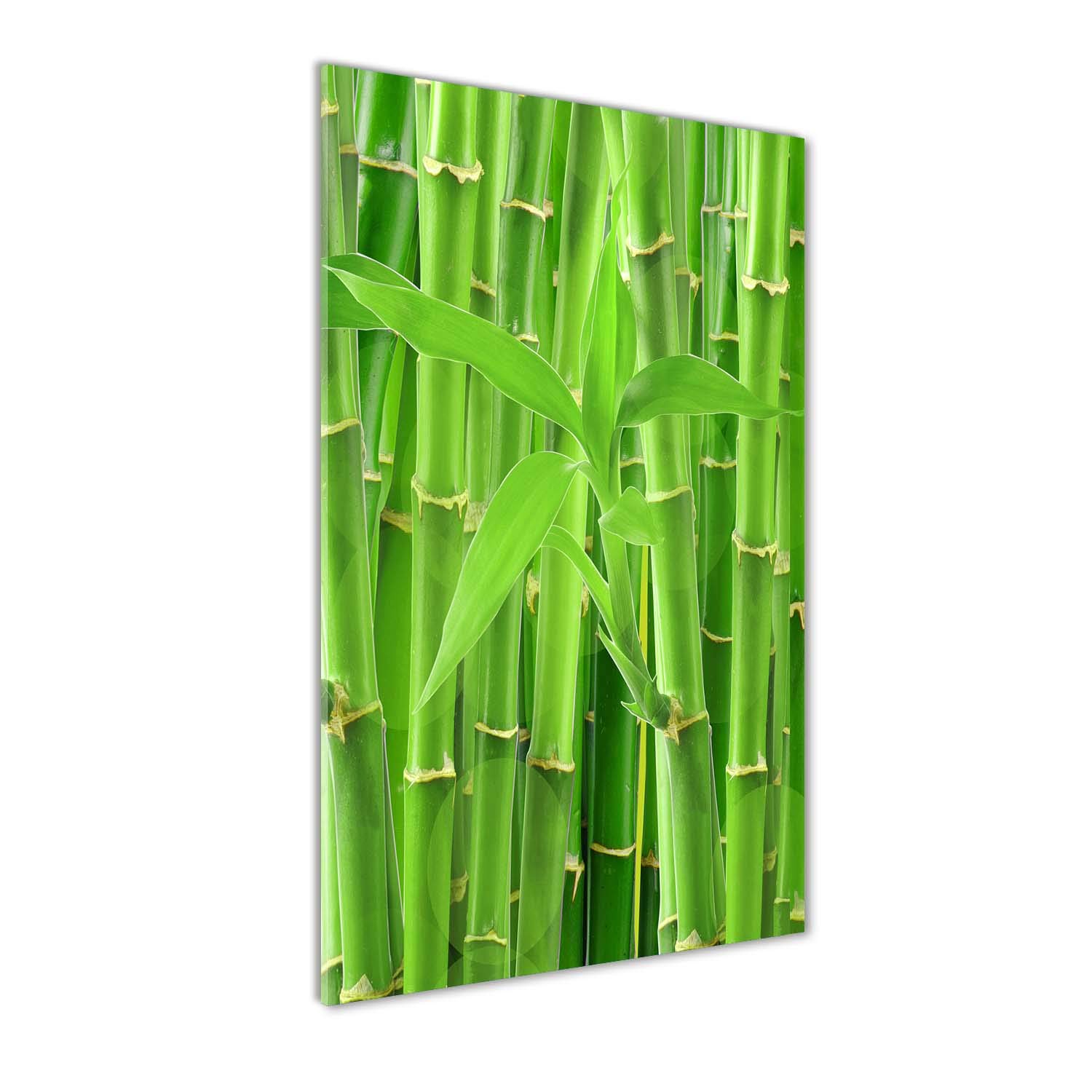 Peinture sur verre trempé 70x140cm forêt bambous pour illuminer un mur sombre