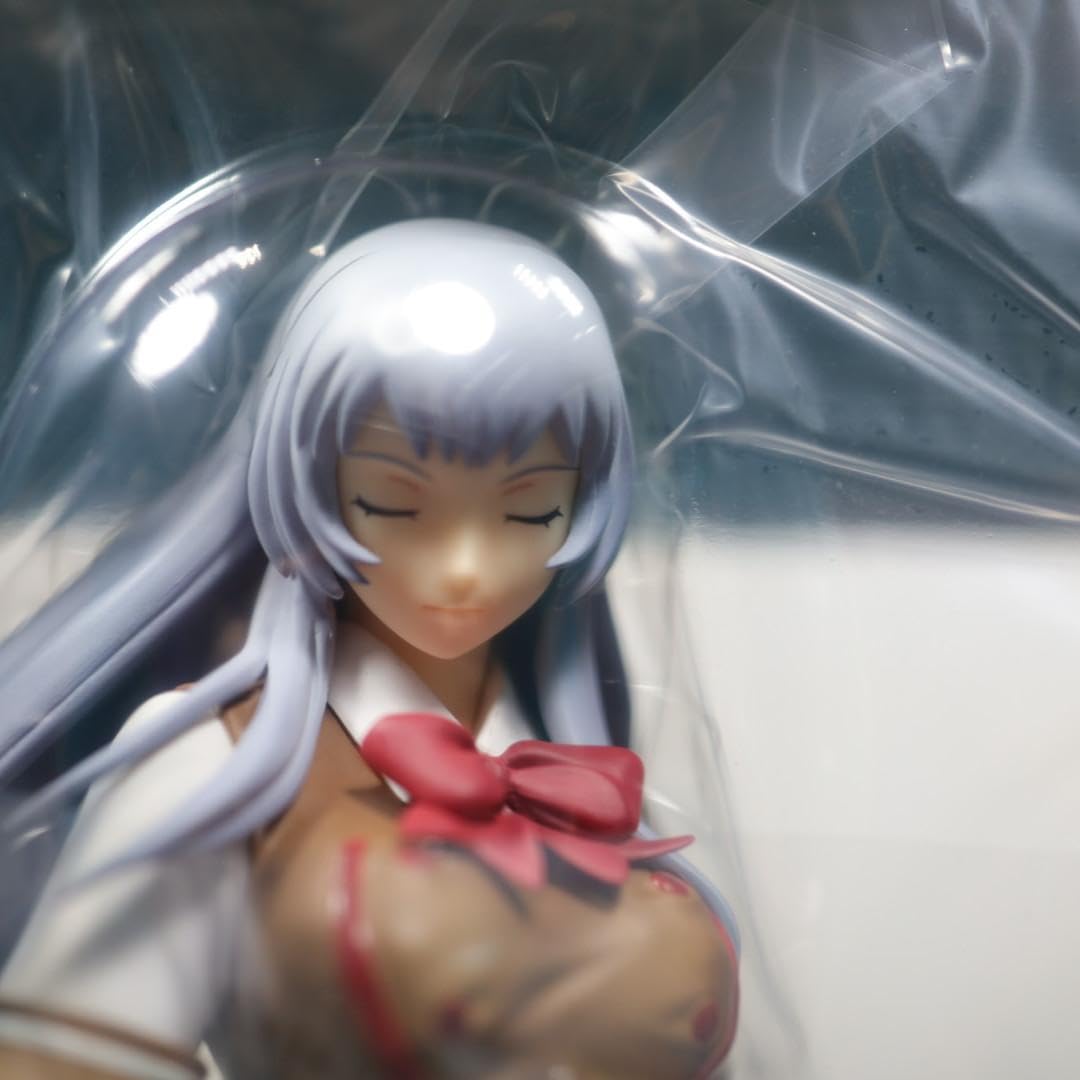 Amazon.co.jp: 一騎当千 Dragon Destiny 趙雲子龍 フィギュア アルター