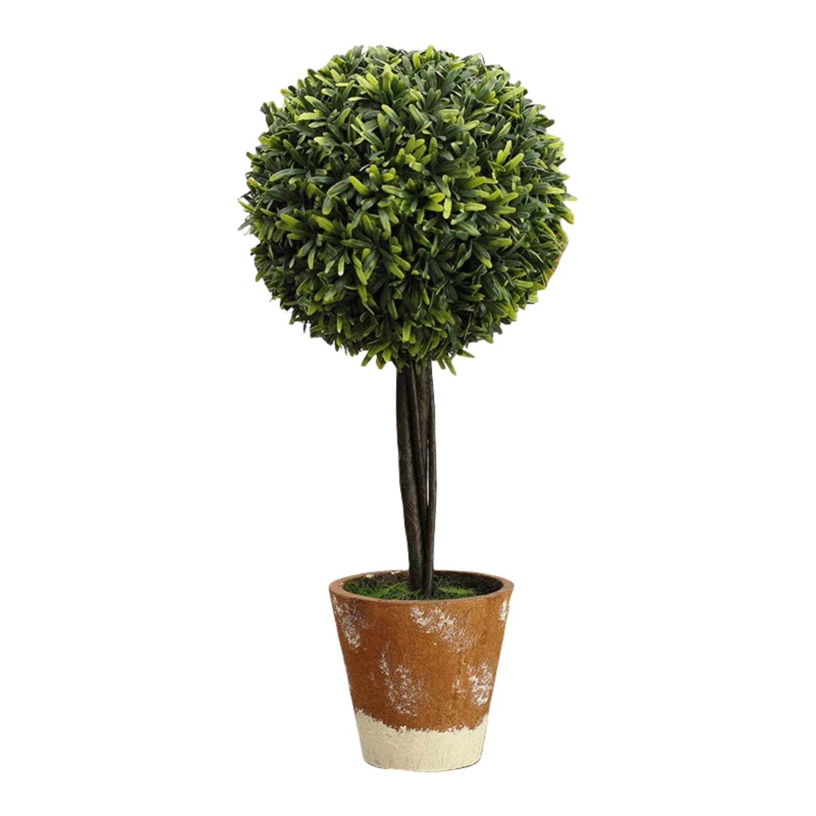 Bonsaï en Pot et Plante Sphérique sans arrosage pour Déco Intérieure