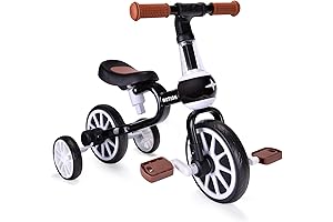 3 in 1 Kids Tricycle: Ultimate Adventure for Zippy 3 Year Old Boys