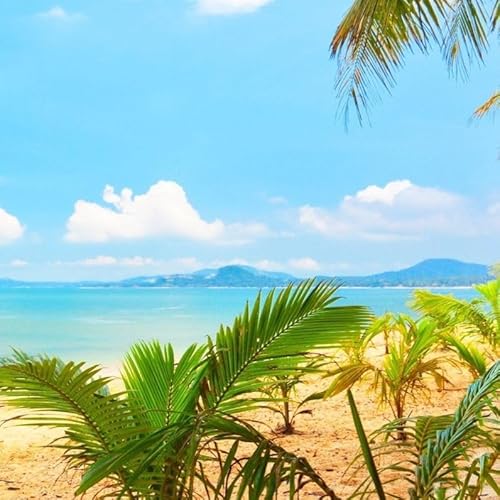 Girl & Sea (original mix, LVM music studio)*