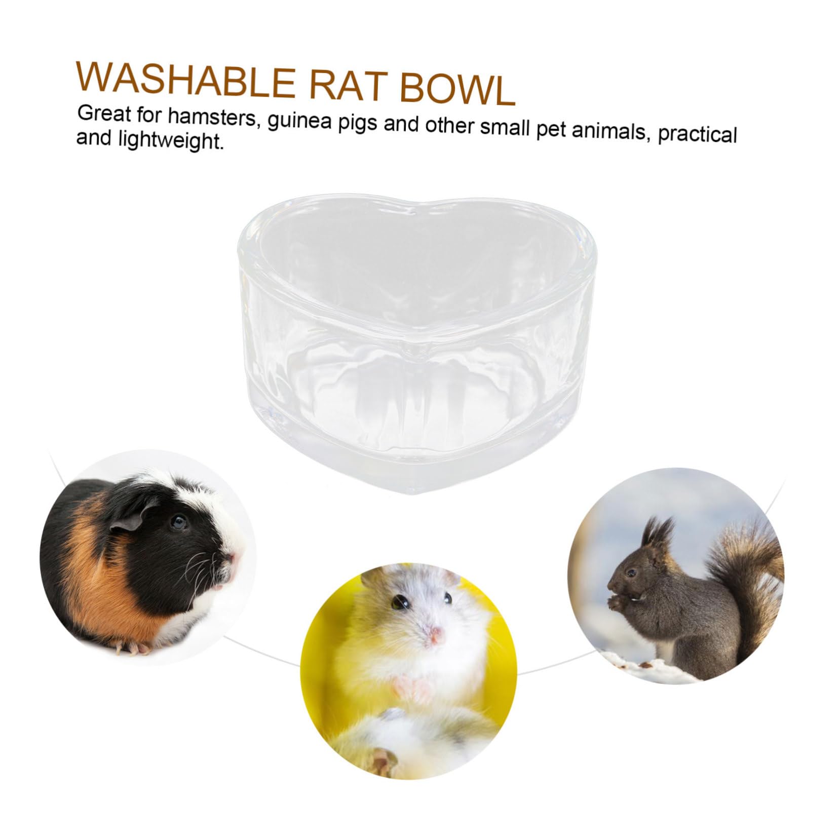 BESPORTBLE 10stücke Kompakte Hamsterfüterschale Abwaschbare Transparente Schalen Für Hamster Und Kleintiere Für Futter Und Wasser Rutschfestes Design Geeignet Für Zuhause