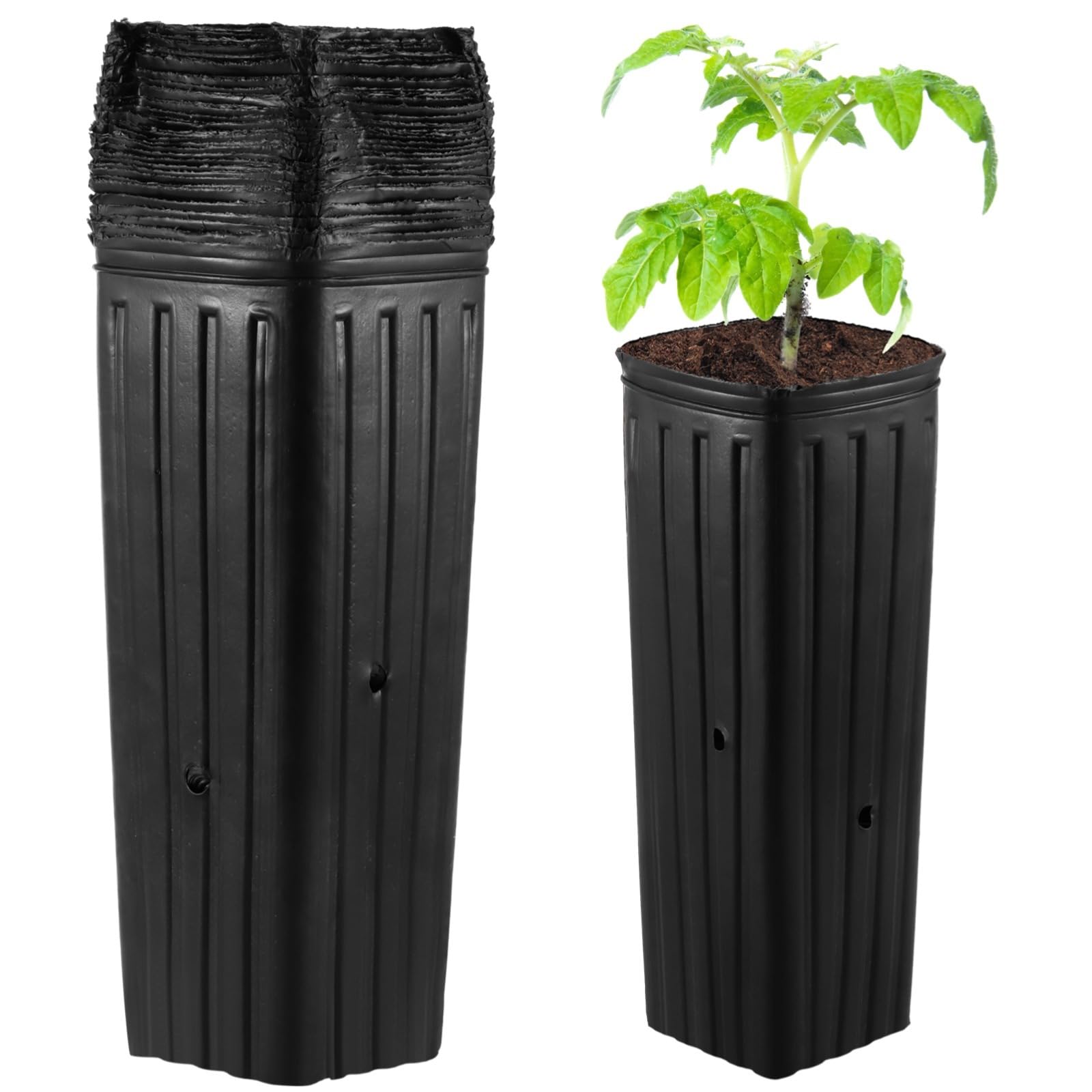 Bolsas de cultivo de flores y plantas suculentas para organizar tu huerto urbano
