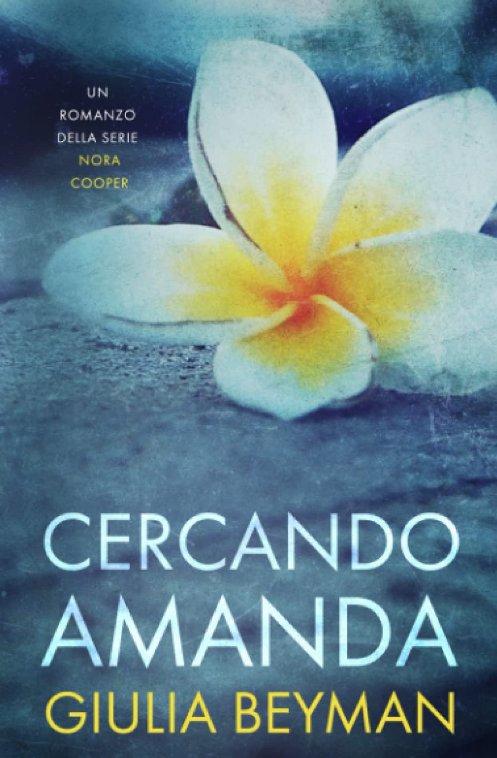 Cercando Amanda (Nora Cooper) (Italian Edition)