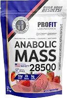 Hipercalóricos Anabolic Mass 28500 Bulking Refil 3kg- Profit Laboratórios (3000g, Morango)