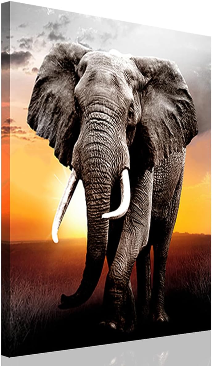 CANWALLS ART Elephant Wall Art Bathroom Decor Pictures - Stretched, 8"" x 10"" Inch