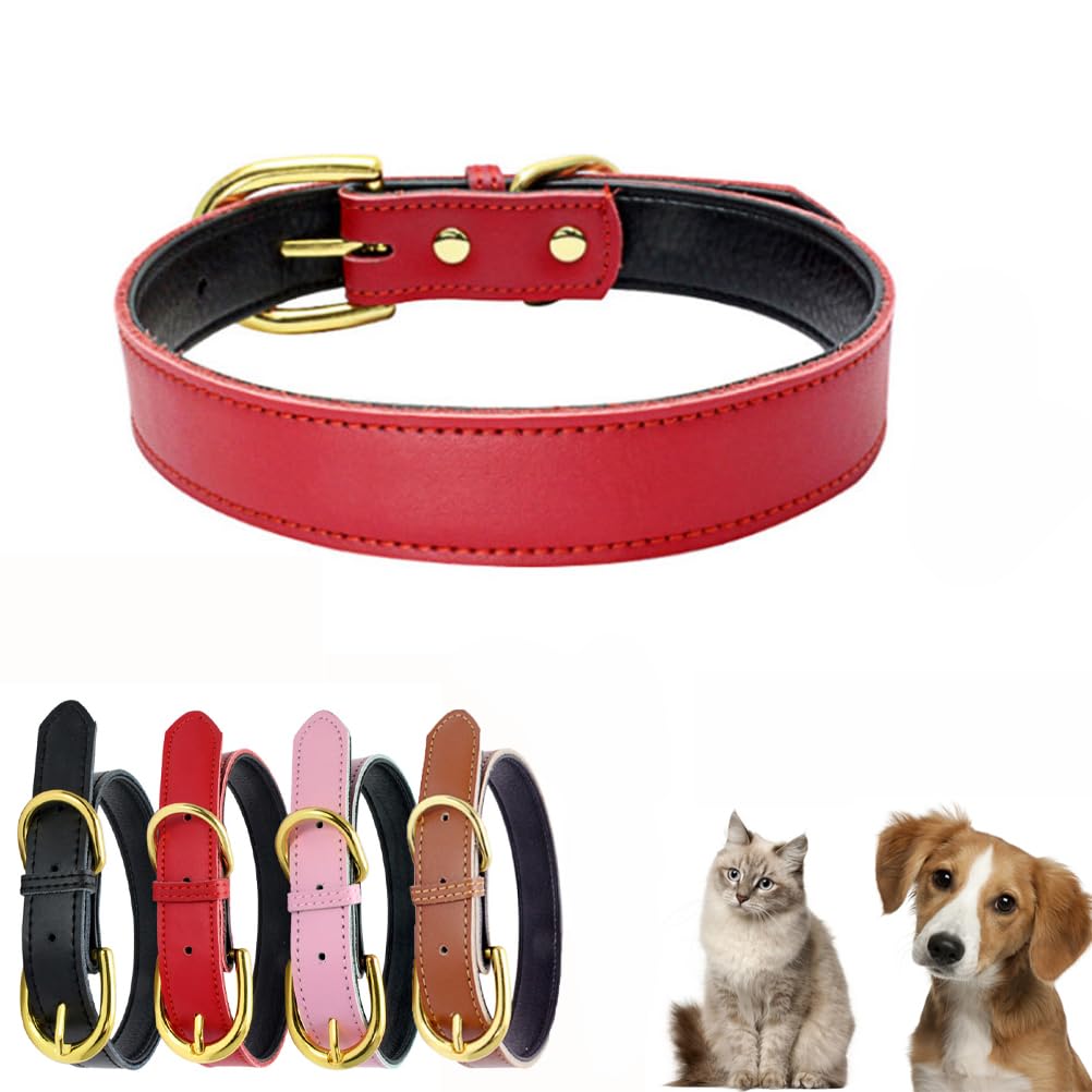 Leder-Hundehalsband Mit Airtag-Halterung – Gepolstert, Verstellbar Für Kleine Bis Große Hunde
