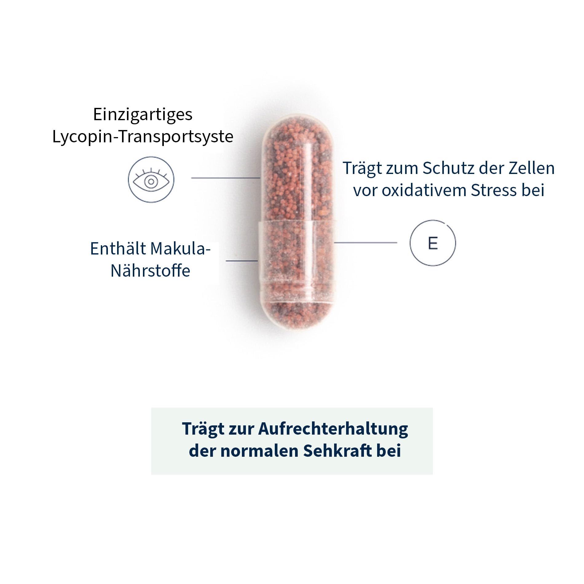 FutureYou Cambridge Vision+ Lutein Zeaxanthin Kapseln – Augen Komplex mit Lycopin, Vitamin E und Zink, Nahrungsergänzung, 28 Kapseln