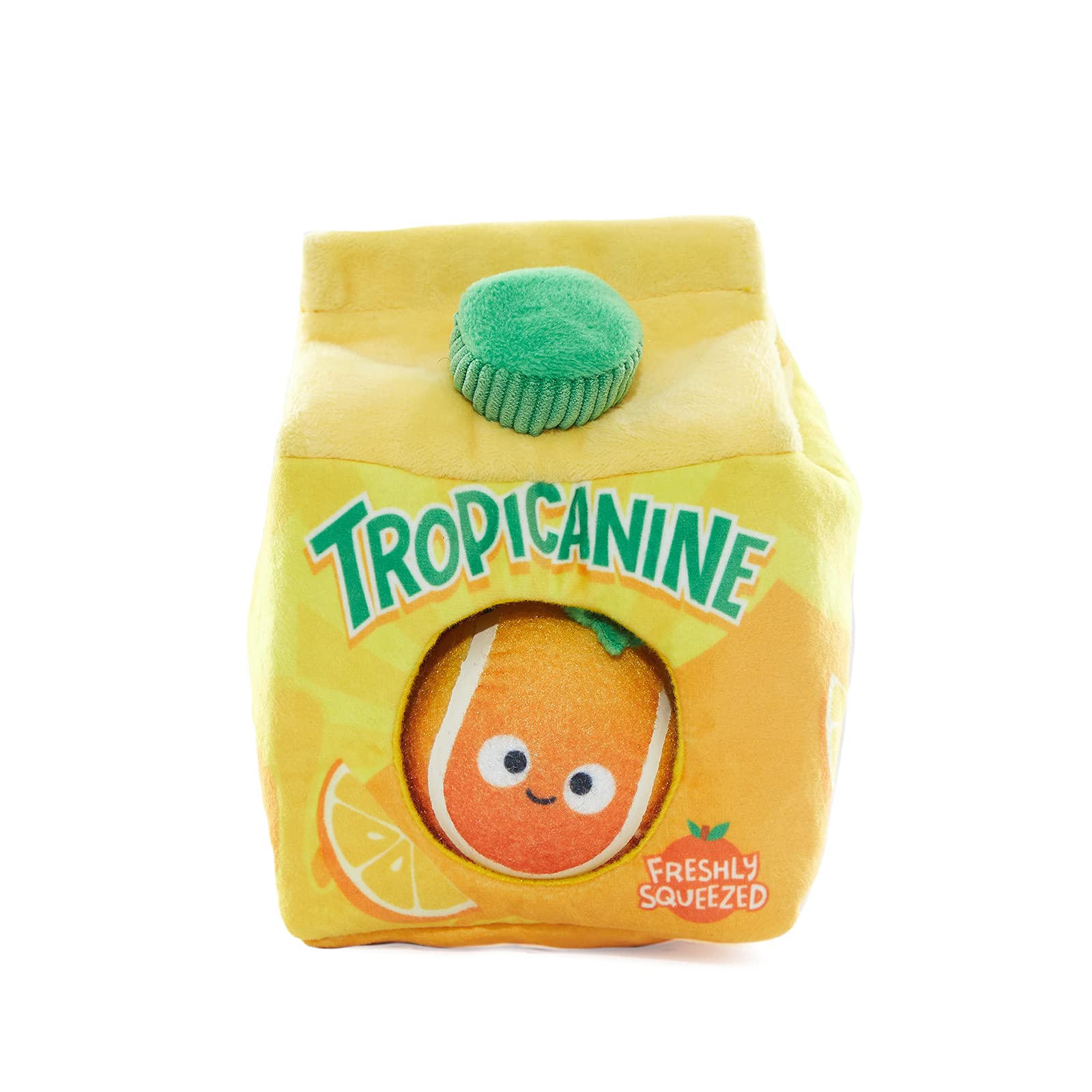 Is Orange Juice Good For Dogs