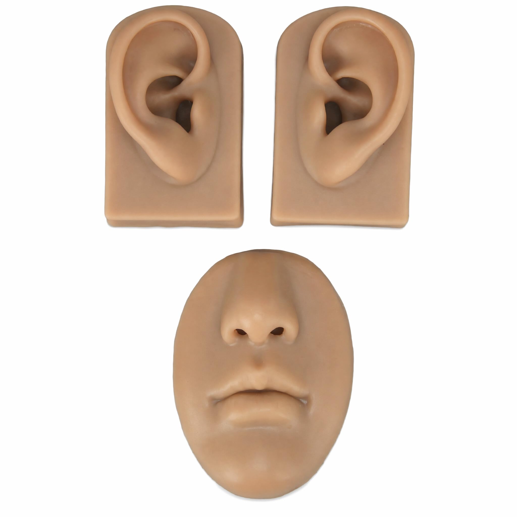 Modèle 3D de nez et de bouche pour présentoir de bijoux de piercing