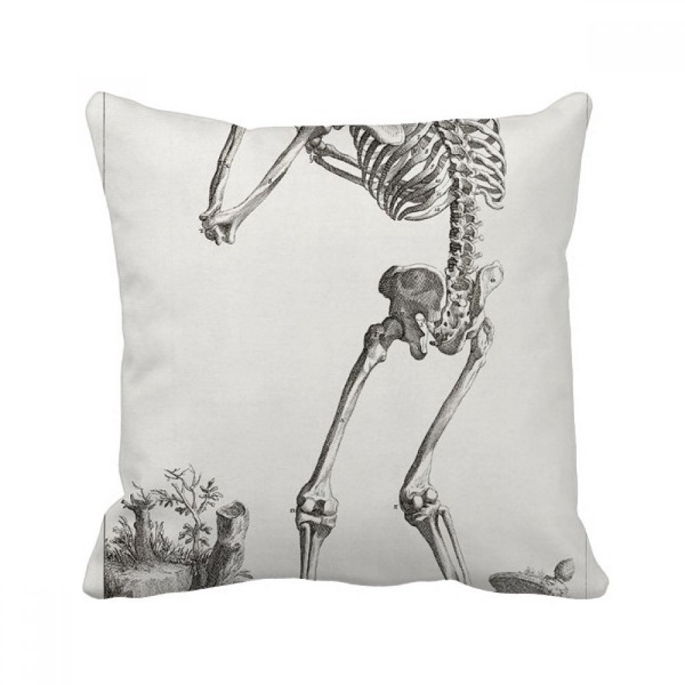Coussin motif squelette multicolor pour revitaliser un canapé terne